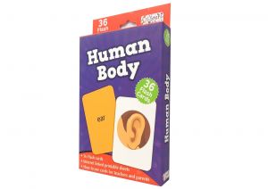 Human Body - Flash Cards Hardcover
