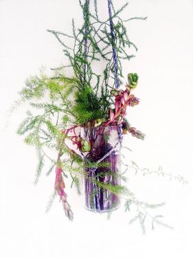 Absolute Bottle Hanging Planter