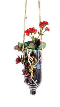 Absolute Hanging Planter