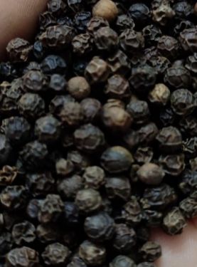 BLACK PEPPER, 250 gm