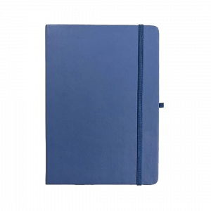 Blue Diary
