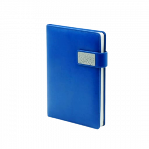 Blue Diary