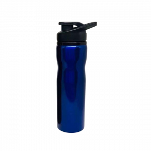 Steel Bottle Basic