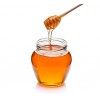 HONEY / தேன் 