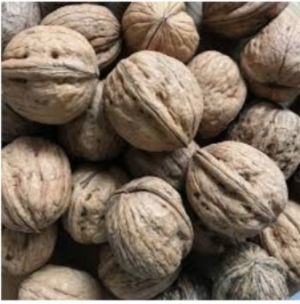 pepper sell walnut