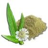 KARISALANGANNI PODI/கரிசலாங்கண்ணி பொடி 