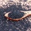 NEELA MILAGAI  SEED / நீல மிளகாய்  விதை