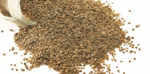 Ajwain (Omum) 1000 Grams