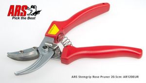 Secateur cut and hold