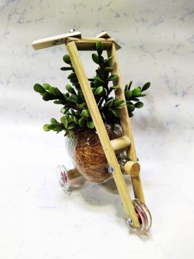 Chivas Bicycle planter