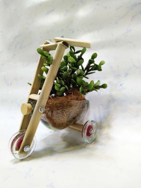 Chivas R Bicycle planter