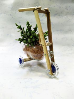Glenrothes Blue-Bicycle Bottle planter