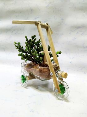 Green-Bicycle Bottle planter