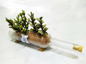 Grey Goose Table-top-planter